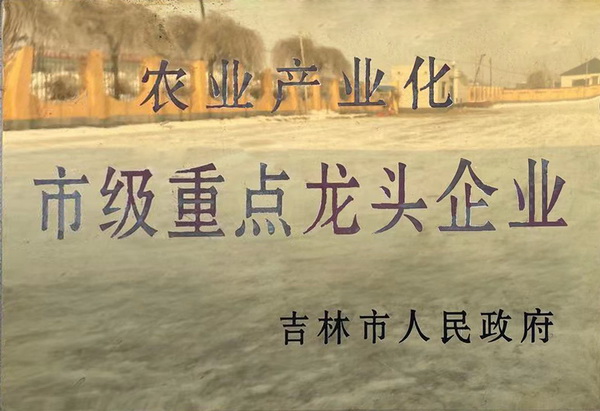 市重点龙头企业.jpg